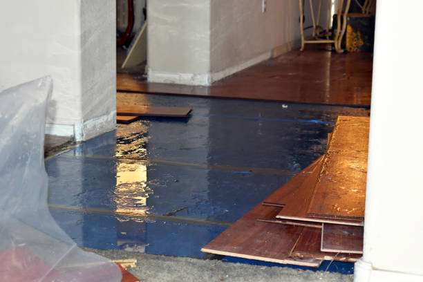 Professional Sewage Cleanup technician working in New Trenton, IN
